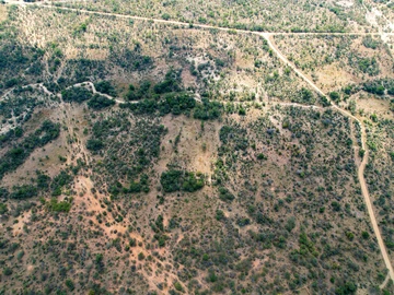 Farm & Agricultural Land