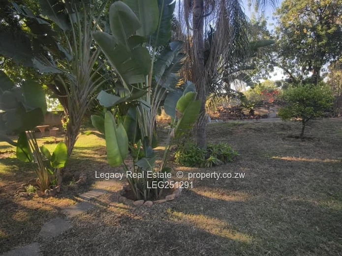 Logan Park 3-Bed Home with Rustic Bar & Borehole on 5689m²