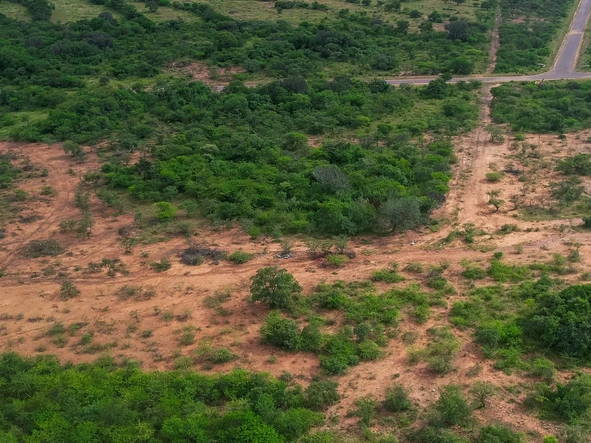 Farm & Agricultural Land