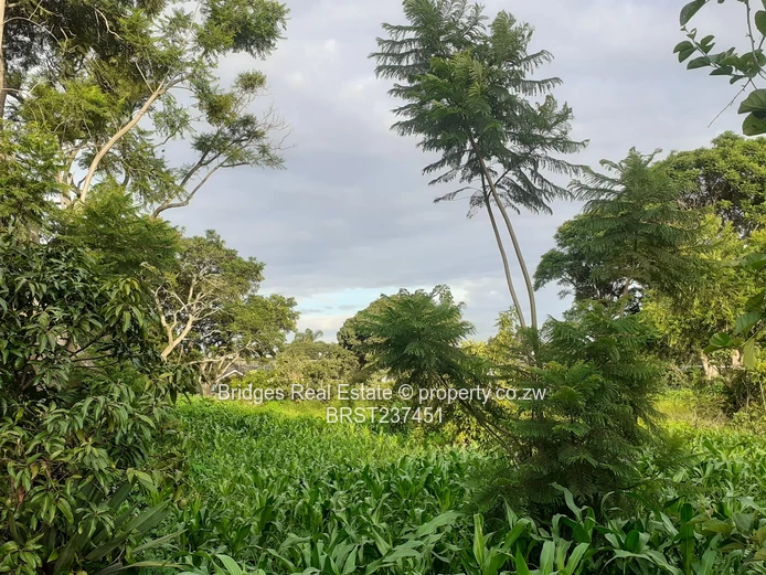 Property Development 101! The stuff of dreams!