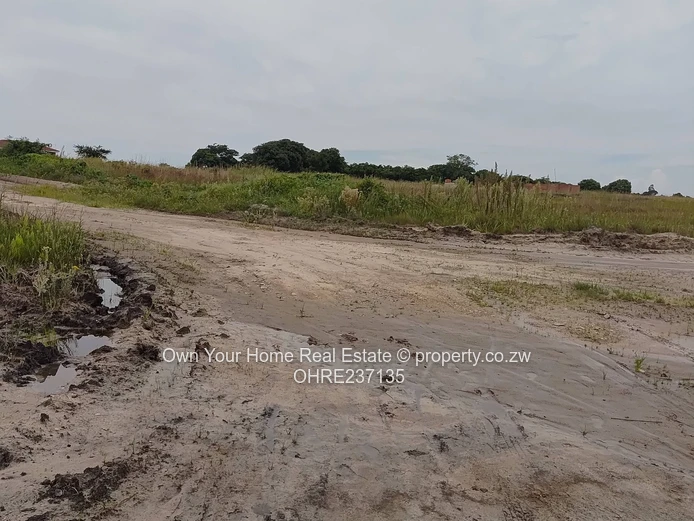 Greenskye Ruwa stands for sale 