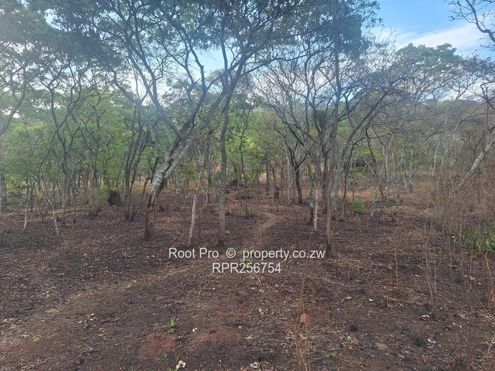 Well-treed Lake Chivero Stand (taking mortgage). . . (Sole Mandate)