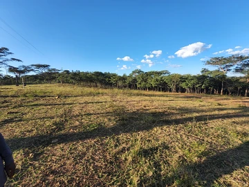 Fully Developed Stand/Plot