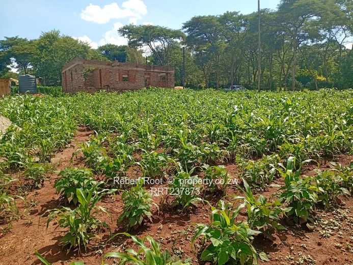 Residential Corner Stand For Sale In Glen Lorne