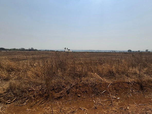 Farm & Agricultural Land