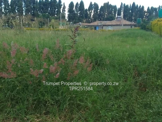 Leafy 3000m² Glen Lorne Stand — Tarred Road, Subdividable