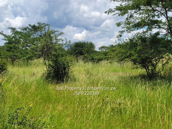 **Prime 2-10  Hectares of Farm Land for Sale along Lower Gweru Road ** (Sole Mandate)