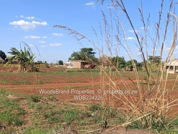 Norton Knowe Stand with A Cottage