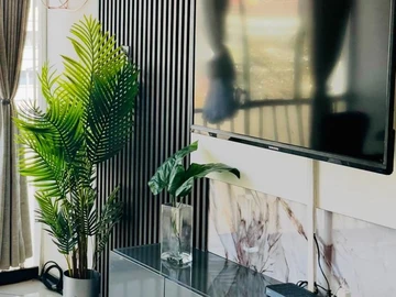 Flat & Apartment
