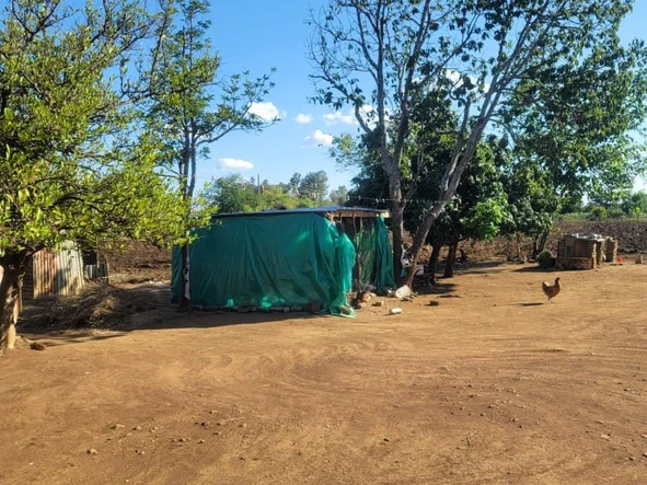 Farm & Agricultural Land