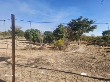 Farm & Agricultural Land