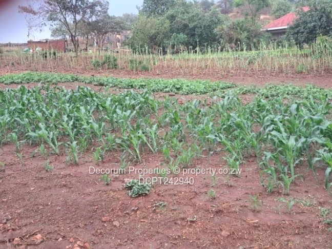 Prime 1011 m² Residential Stand for Sale in Tynwald South