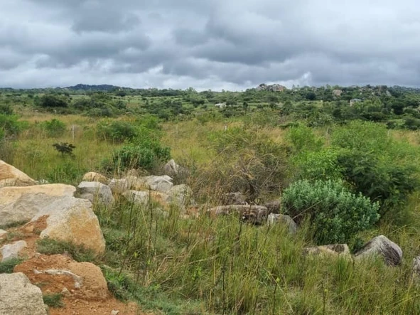 Commercial & Industrial Land