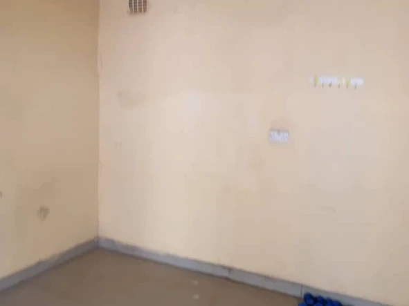 Flat & Apartment