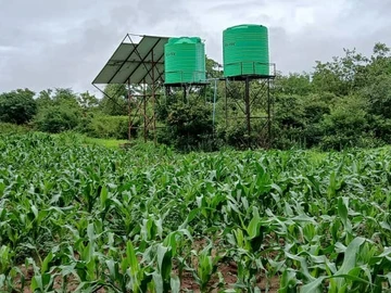 Farm & Agricultural Land