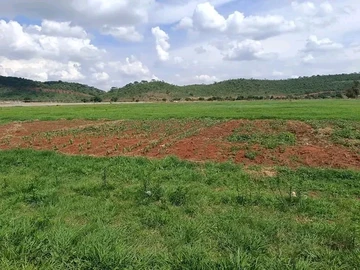 Farm & Agricultural Land