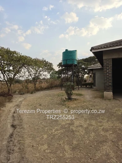 Whitecliff House For Sale 