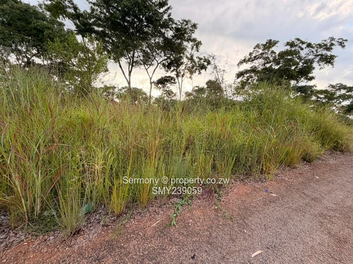 Prime Carrick Creagh Estate Stands For sale