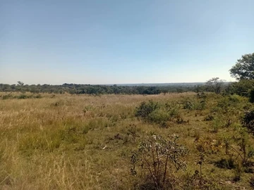 Farm & Agricultural Land