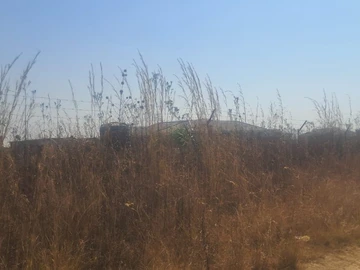 Land