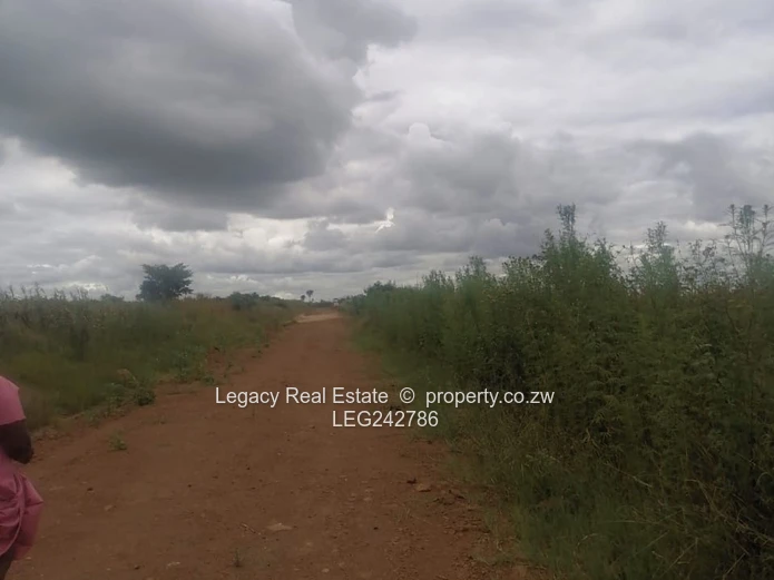 Hot Property Alert: Rydale Ridge Stand for Sale