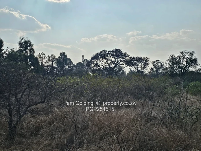 Burnside 1 Acre Residential Stand