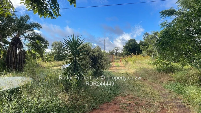 Newton West Bulawayo