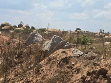 Commercial & Industrial Land