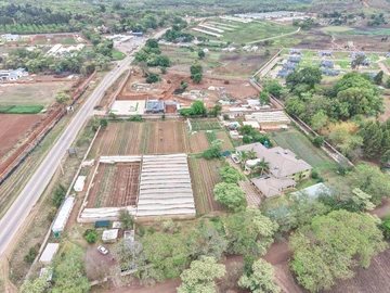 Stands & Residential Land