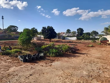 Stands & Residential Land