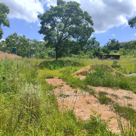 Borrowdale Carrick creagh stands for sale