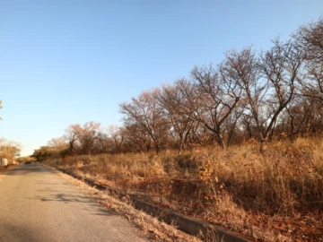 Stands & Residential Land