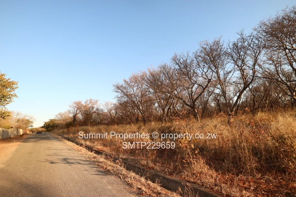 Prime Land For Sale In Victoria Falls