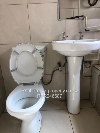 AVENUES Area Flat For Sale