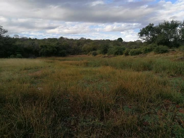 Farm & Agricultural Land