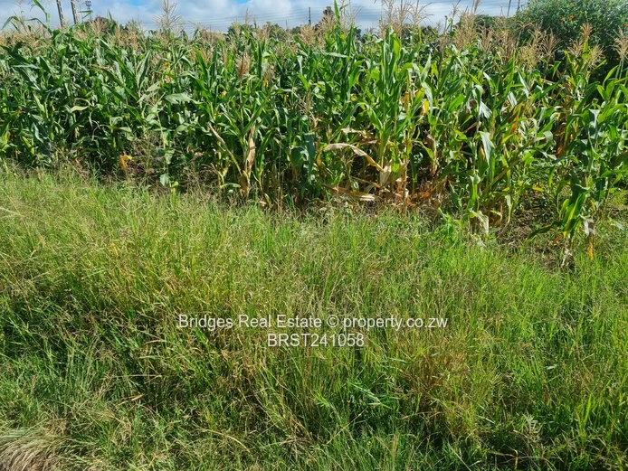 Agro Residential Parcel (Sole Mandate)