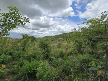 Commercial & Industrial Land