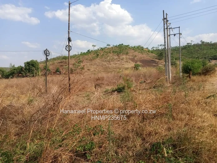 Glen lorne  (Sole Mandate)