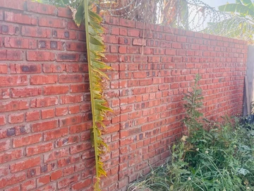 2 Bedroom Garden Flat