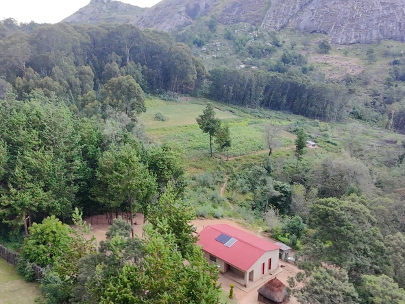 Farm & Agricultural Land