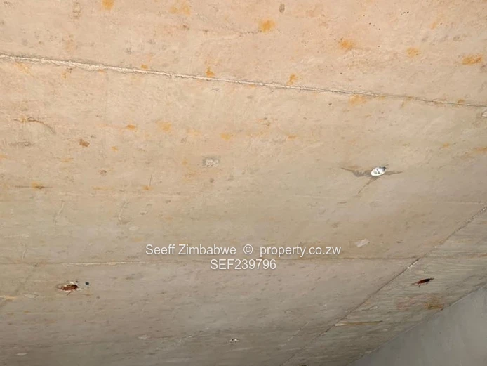 Stunning Studio Apartment In Borrowdale West