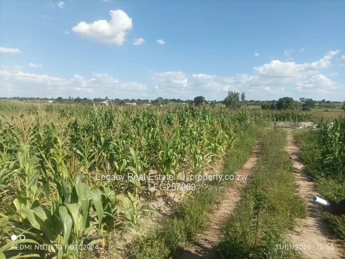 2,160ha Industrial Land — Waterfalls (Tarred Roads, Warehouse Nearby)