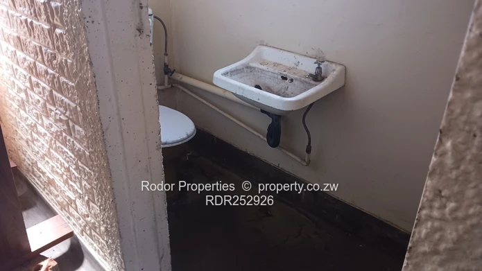 Thorngrove175