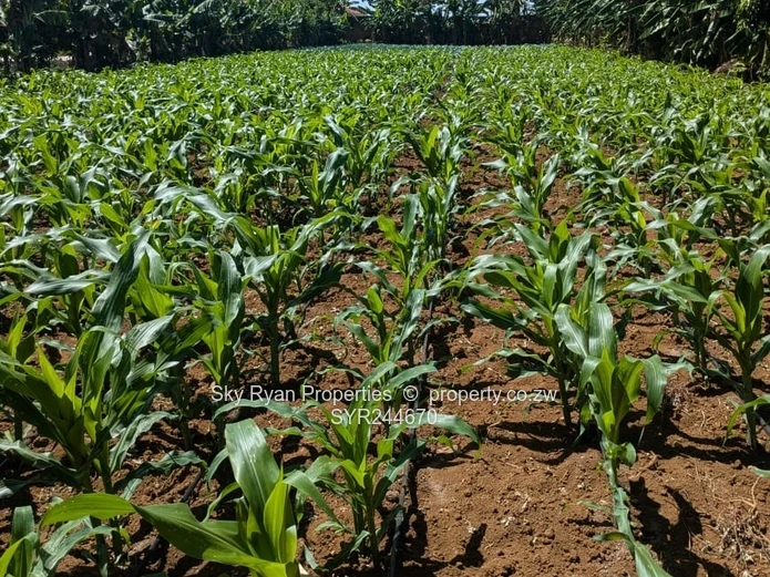 Norton Turnkey Farm For Sale