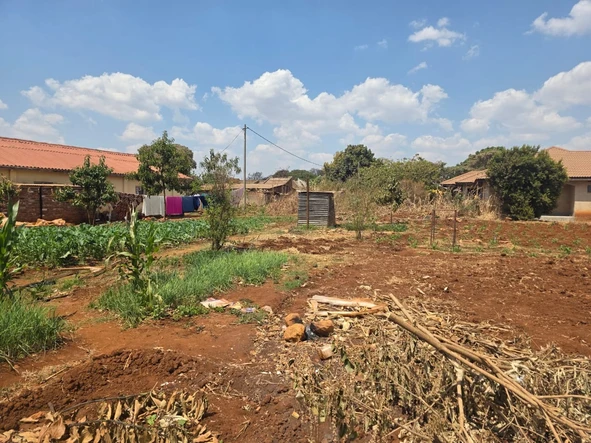 Stands & Residential Land