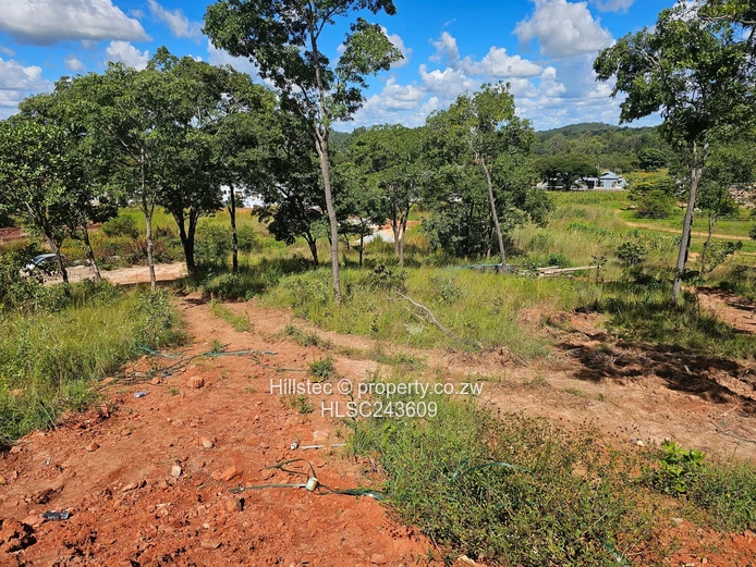 Secured Stand with Paved Access – Carrick Creagh