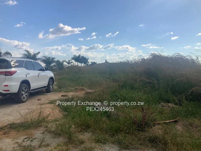 Haydon Park, Vacant Stand