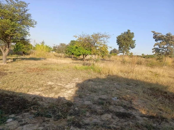 Stands & Residential Land