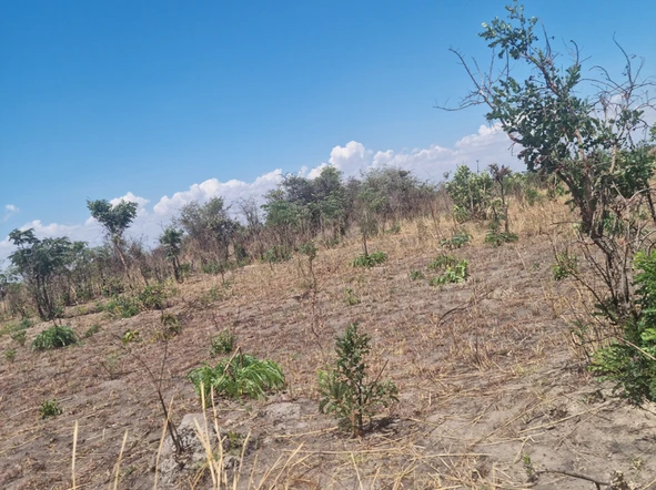 Farm & Agricultural Land