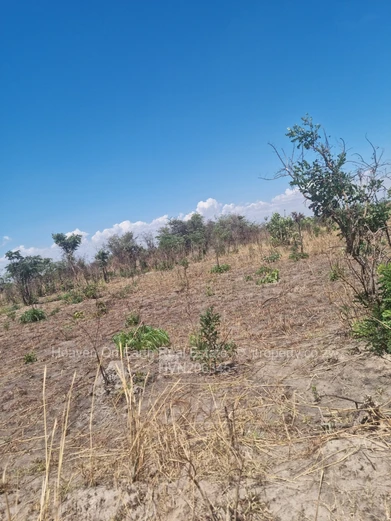 Beautiful farm for sale